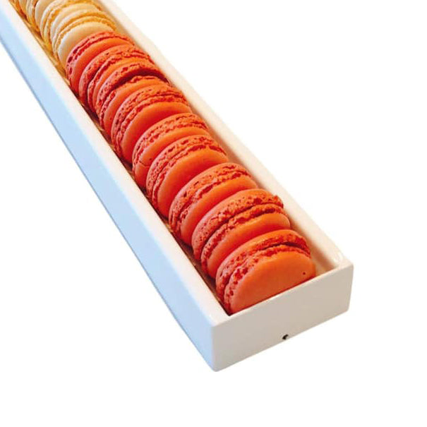 Macaronvorm
